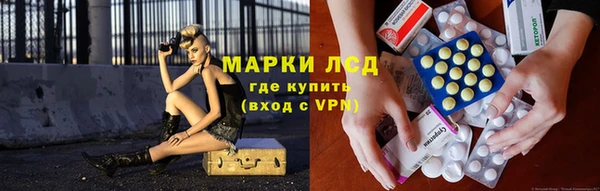 сатива Балахна