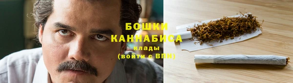 сатива Балахна