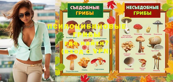сатива Балахна