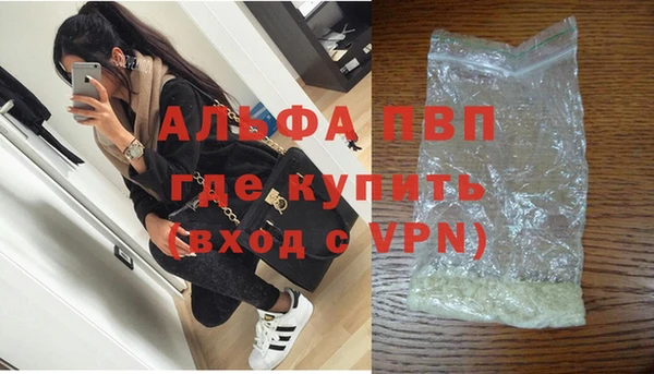 сатива Балахна