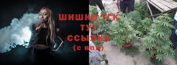 сатива Балахна